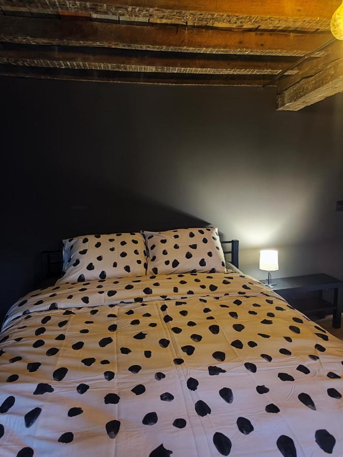 Rooftop Apartment With 60M Terrace Overlooking The Cathedral Antwerpen Exteriör bild
