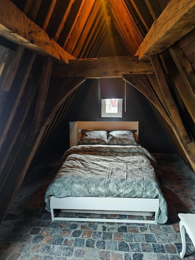 Rooftop Apartment With 60M Terrace Overlooking The Cathedral Antwerpen Exteriör bild