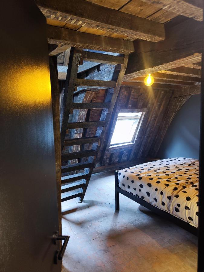 Rooftop Apartment With 60M Terrace Overlooking The Cathedral Antwerpen Exteriör bild