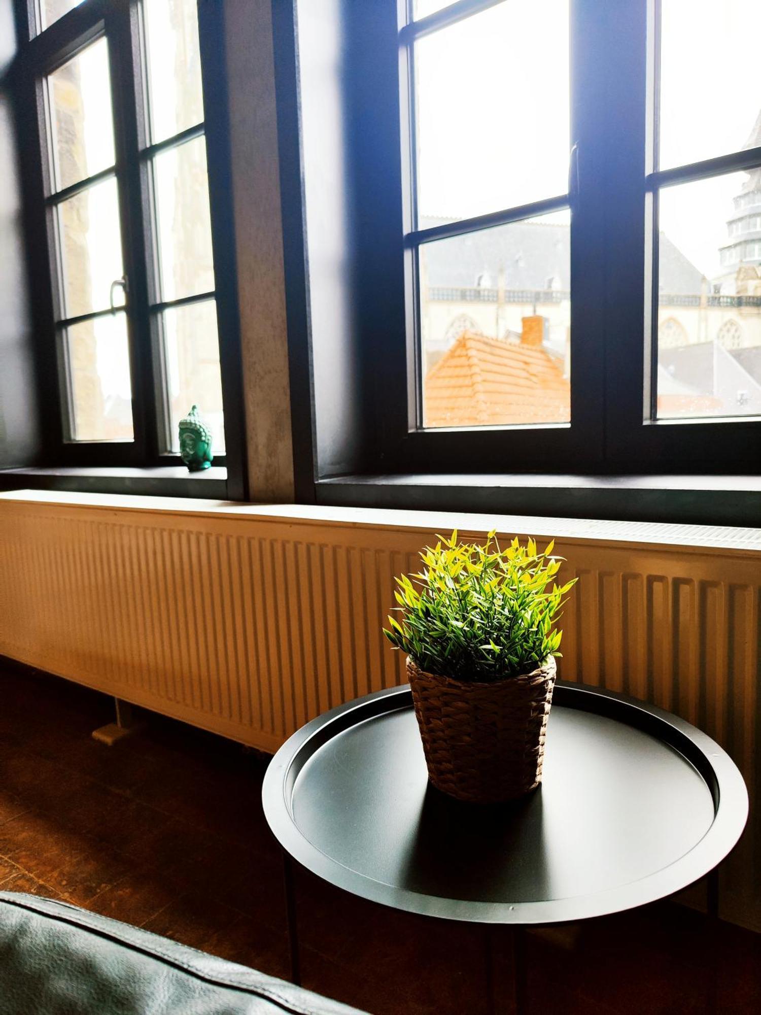 Rooftop Apartment With 60M Terrace Overlooking The Cathedral Antwerpen Exteriör bild